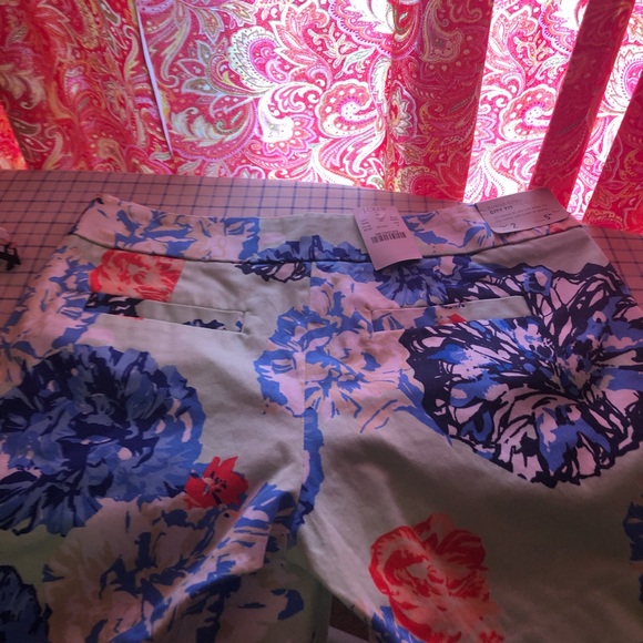 BNWT J Crew shorts - Picture 4 of 4